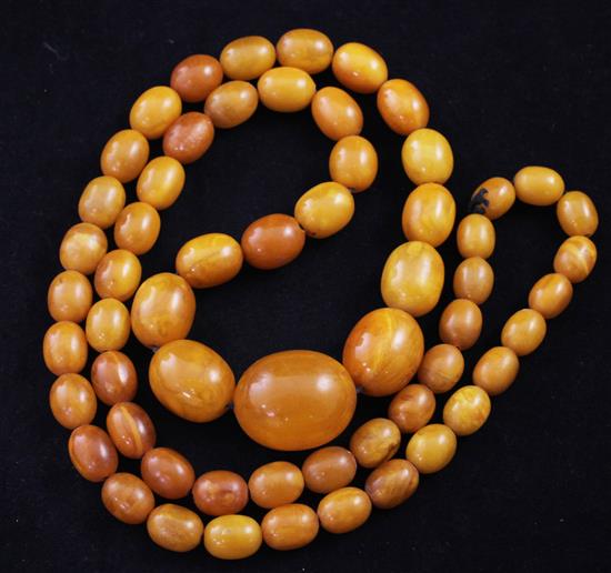 A single strand graduated oval amber bead necklace, 33in.